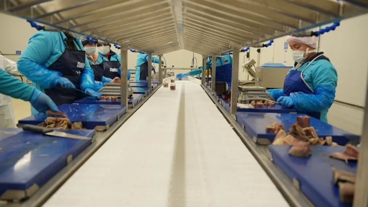 Sinop 2025’te ihracatta vites yükseltti