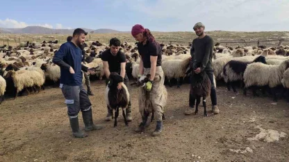 Şırnak’ta hayvancılığa 2025’te güçlü dokunuş