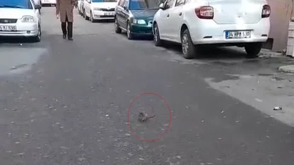 Sokakta fare paniği: Çevreyi kötü kokular sardı