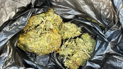 Şüpheli araçtan 50 gram esrar çıktı