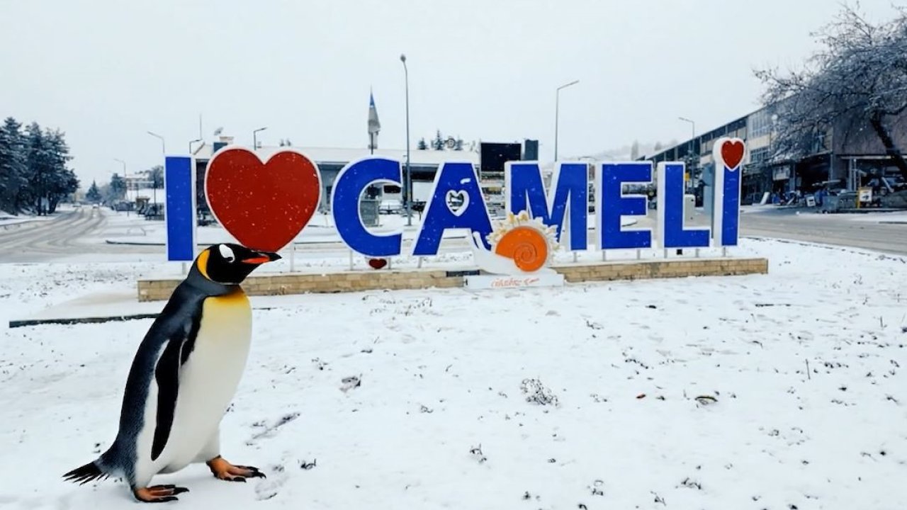 Sürüden ayrılan nihilist penguen Çameli’ye uğradı