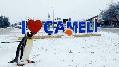 Sürüden ayrılan nihilist penguen Çameli’ye uğradı