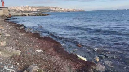 Tekirdağ’da lodosta sahili kırmızı yosunlar kapladı
