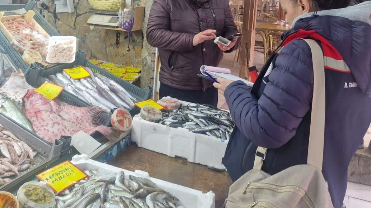 Tekirdağ’da perakende balık satış yerlerine denetim