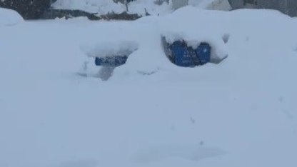 Tunceli’de kar yüküne dayanamayan iş yerinin çatısı çöktü