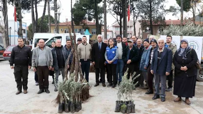 Ula’da üreticiye zeytin ve ceviz fidanı desteği