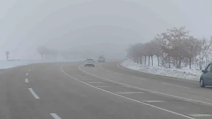 Van’da sis ulaşımı olumsuz etkiledi