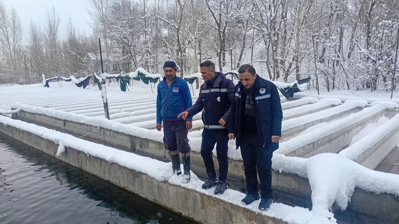 Van’da zorlu kış şartlarında alabalık üretimi mercek altında