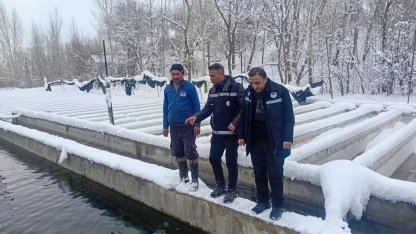 Van’da zorlu kış şartlarında alabalık üretimi mercek altında