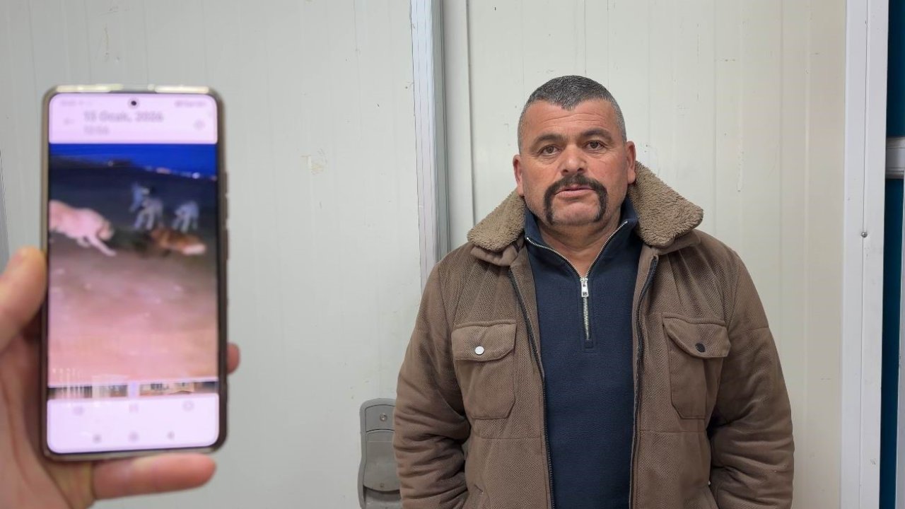 Yaban domuzunu elleriyle yakaladı