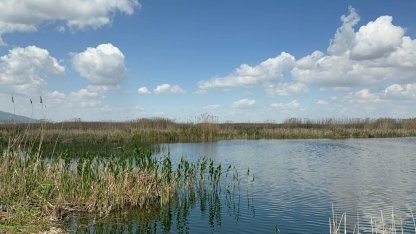 Yağışlar Eber Gölü’ne can suyu oldu, kiraz üreticisinin yüzü güldü