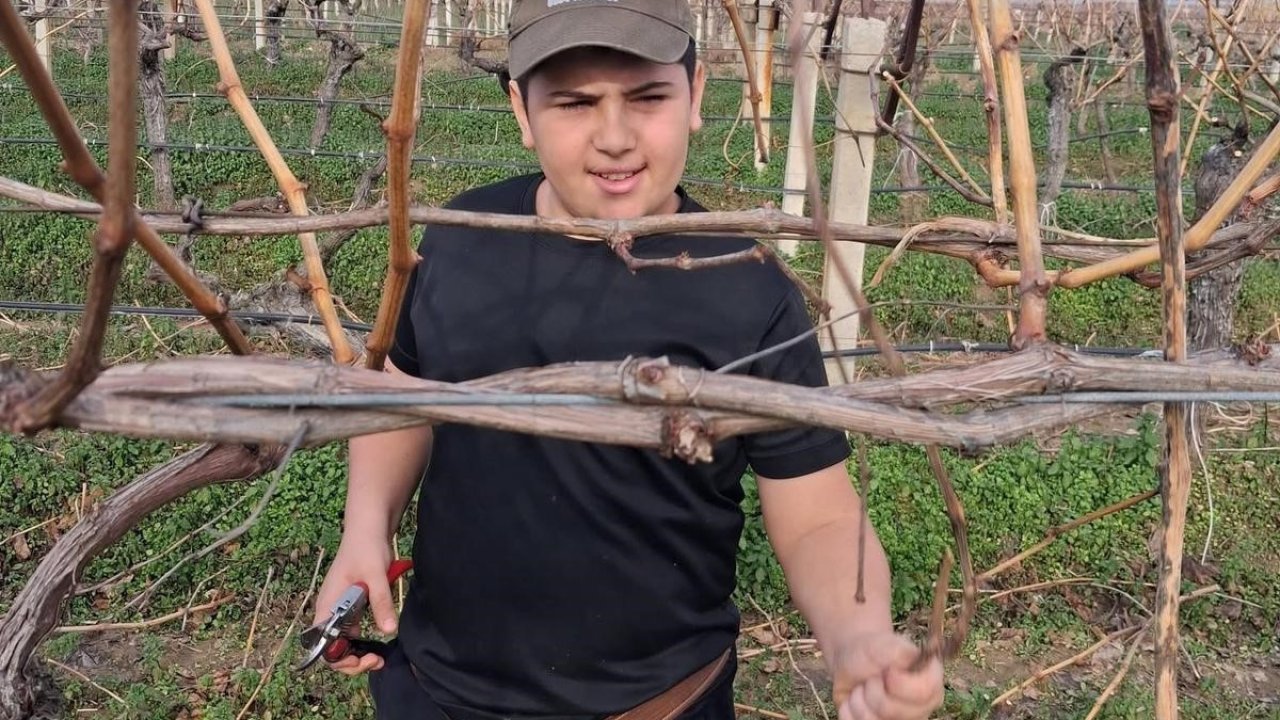 Yağmur bitti, çiftçi bağlara koştu