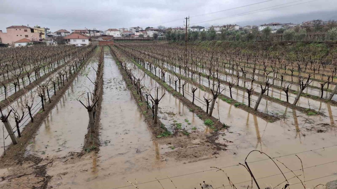 Yağmurlar bağcıların yüzünü güldürdü