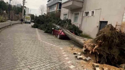 Yalova’da fırtına hayatı olumsuz etkiliyor