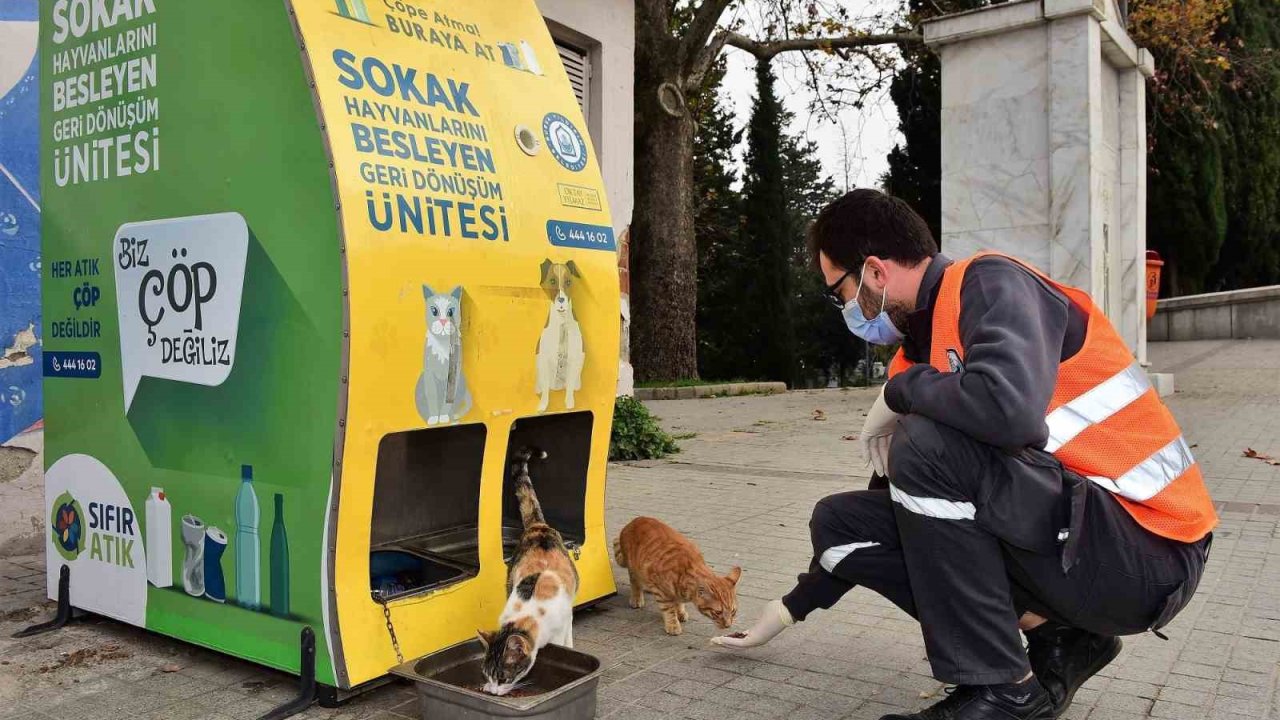 Yıldırım Belediyesi’nden sokak hayvanlarına sıcak yuva