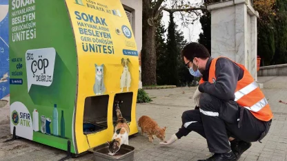 Yıldırım Belediyesi’nden sokak hayvanlarına sıcak yuva
