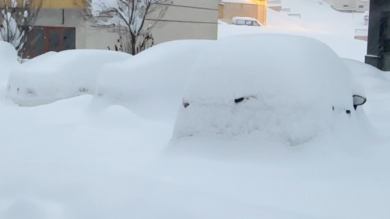 Yüksekova kara gömüldü: Kar kalınlığı yarım metreyi geçti