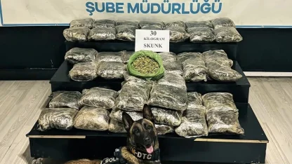 Yüksekova’da 30 kilo Skunk ele geçirildi: 2 şüpheli gözaltında