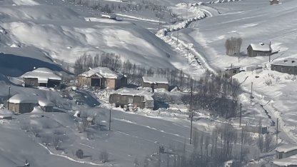 Yüksekova’da çiftçilere "kurt saldırısı" uyarısı