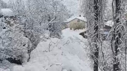 Yüksekova’da çığ yerleşim yerine indi: Facianın eşiğinden dönüldü