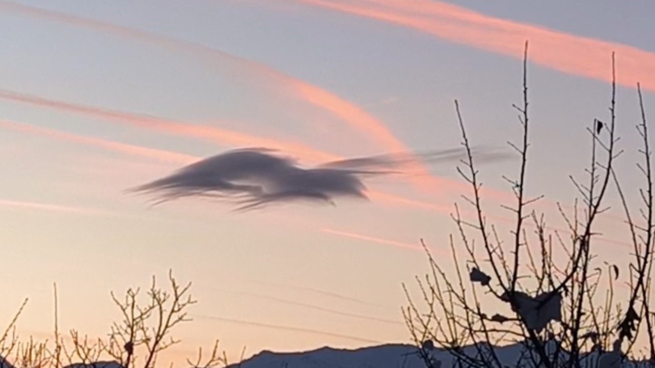 Yüksekova’da gökyüzünde doğa şöleni: Bir bulut onlarca silüet