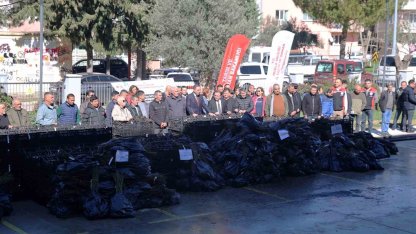 50 bin adet üzümsü fidan dağıtıldı