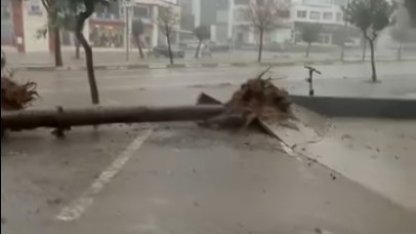 Adana’da fırtına ağaçları yerinden söktü