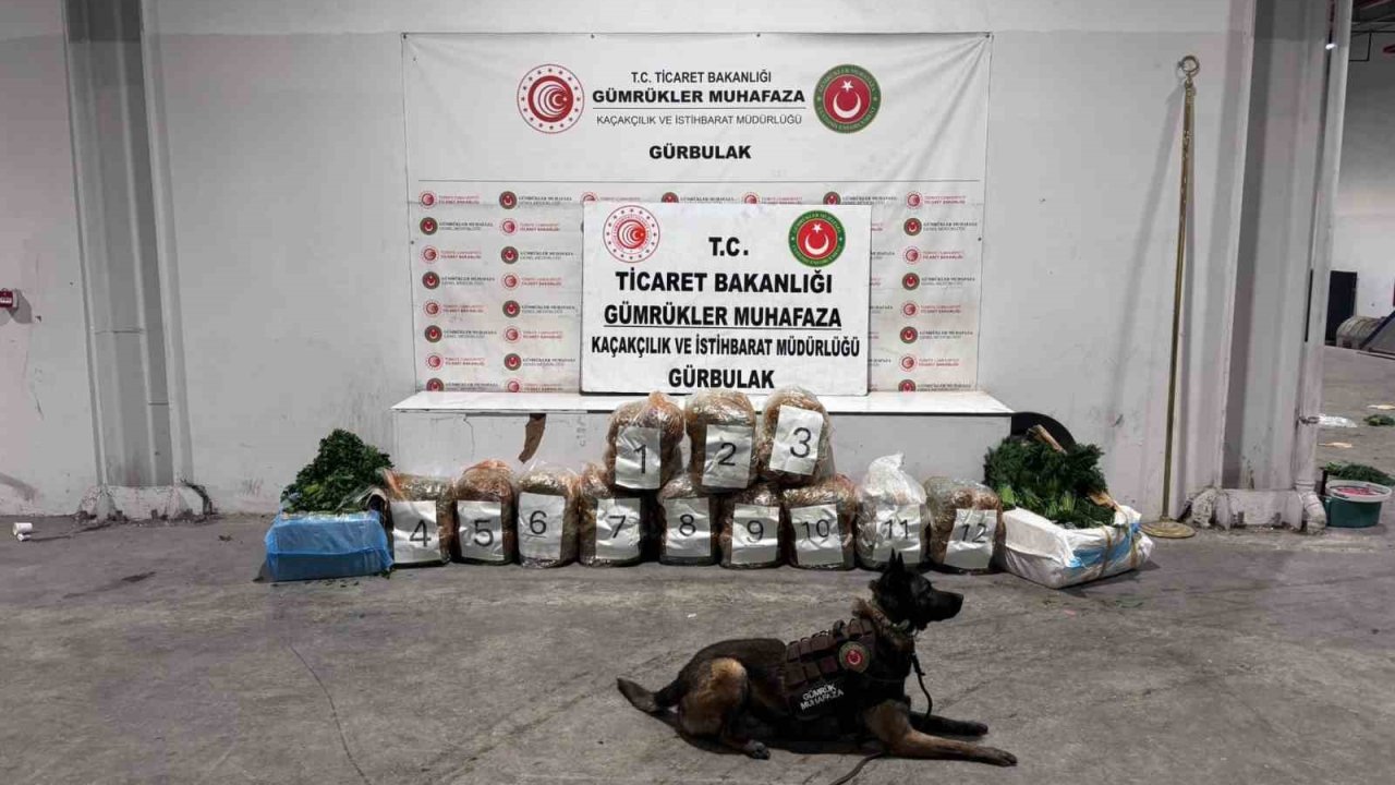 Ağrı’da Gürbulak Sınır Kapısı’nda 51 kilo 520 gram esrar ele geçirildi