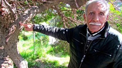 Alaçatı’da, sakızın 70 yıllık geçmişini anlattılar