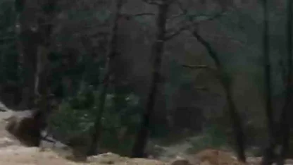 Alanya’da sağanak sonrası su taşkını köprüde zarara neden oldu