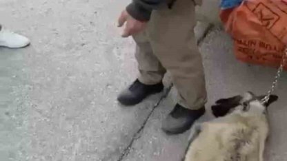 Ankara’da kamyonetin arkasına köpeği bağlayıp sürükleyen sürücü gözaltına alındı