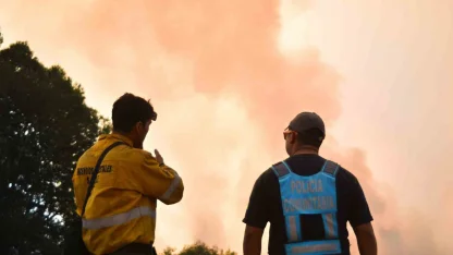 Arjantin’deki orman yangınlarında 50 bin hektarlık alan kül oldu