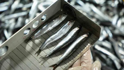 Avcılık denetimlerinde ceza yağdı: 2,6 milyon TL’yi aştı