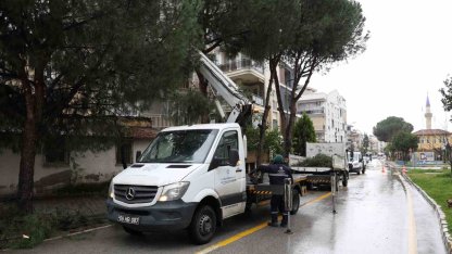 Aydın Büyükşehir Belediyesi’nden Efeler’in yeşil alanlarına bakım