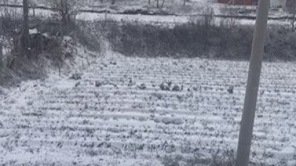 Aydın’ın yüksekleri beyaza büründü