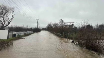 Ayvacık’ta sağanak yağış etkili oldu