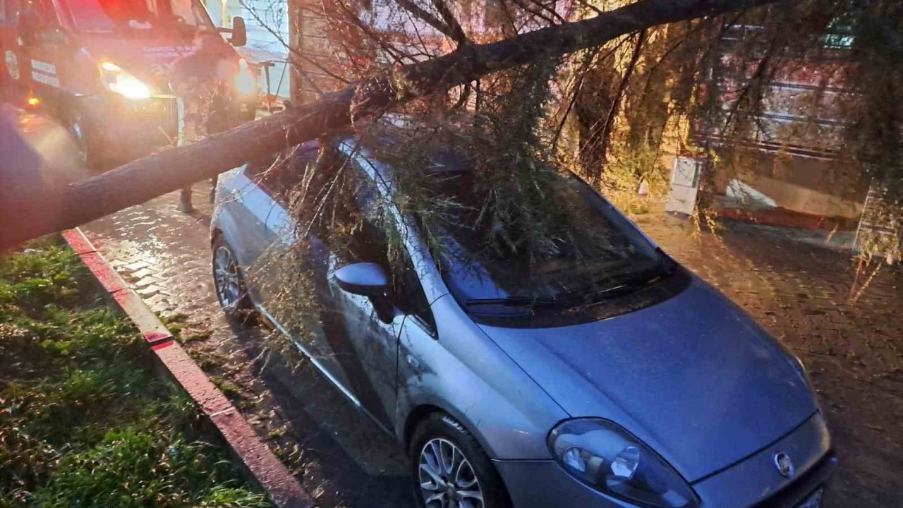 Babaeski’de kuvvetli rüzgarda otomobilin üzerine ağaç devrildi