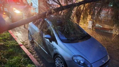 Babaeski’de kuvvetli rüzgarda otomobilin üzerine ağaç devrildi