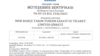 BAKKA destekleriyle safran üretiminde organik üretime geçildi