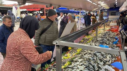 Balık tezgahlarında hamsi yok, vatandaş diğer balıklara yöneldi