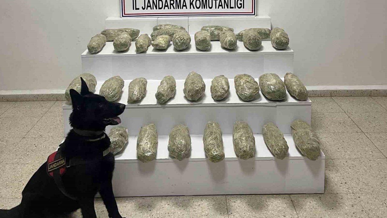 Başkale’de 21 kilo 350 gram skunk ele geçirildi