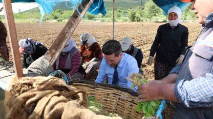 Başkan Tatık’tan tütün firmalarına ’Alım takvimi açıklayın’ çağrısı