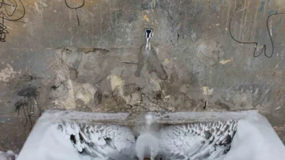 Bayburt’ta don ve çığ tehlikesine karşı meteorolojinin uyarıları sürüyor