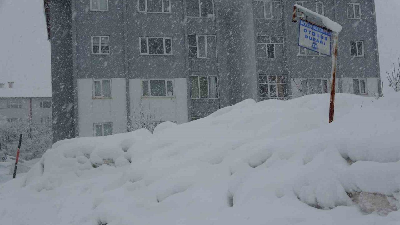 Bitlis’te 304 köy yolu kar nedeniyle ulaşıma kapandı