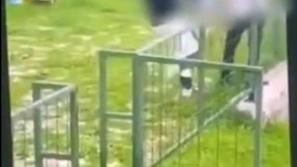 Bodrum’da akran zorbalığı: Çocuğu feci şekilde darbederek bayılttı