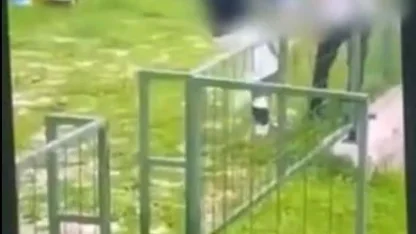 Bodrum’da akran zorbalığı: Çocuğu feci şekilde darbederek bayılttı