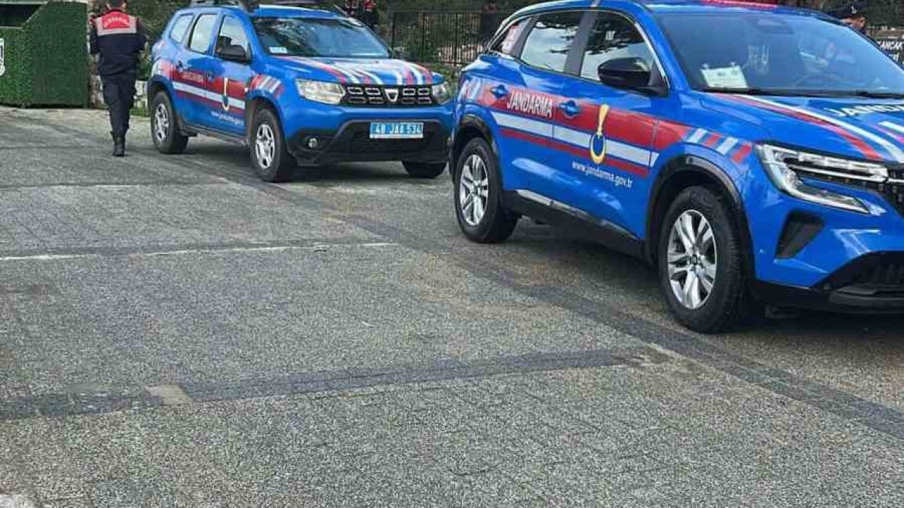 Bodrum’da iki köpeğin silahla vurulduğu iddiası