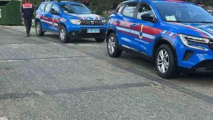 Bodrum’da iki köpeğin silahla vurulduğu iddiası