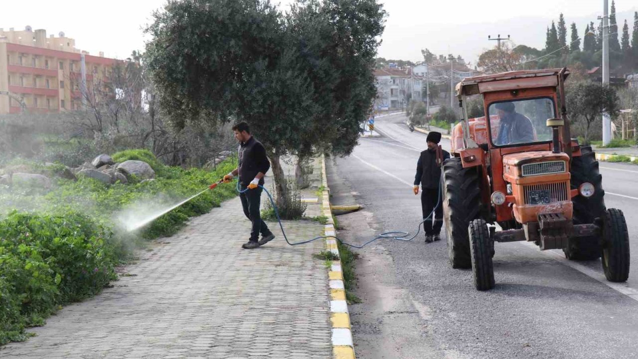 Bozdoğan’da yabani ot mücadelesi