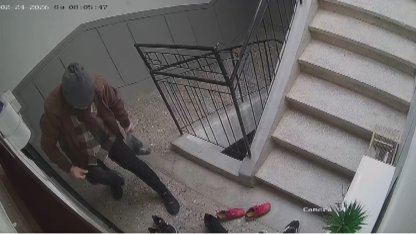 Bu da marka takıntılı hırsızlık şüphelisi